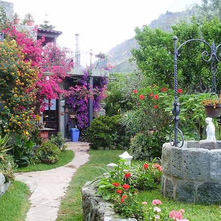 Casa Vacanze Il Pozzo Villa Ischia Island Ngoại thất bức ảnh