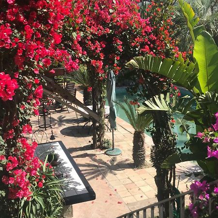 Casa Vacanze Il Pozzo Villa Ischia Island Ngoại thất bức ảnh