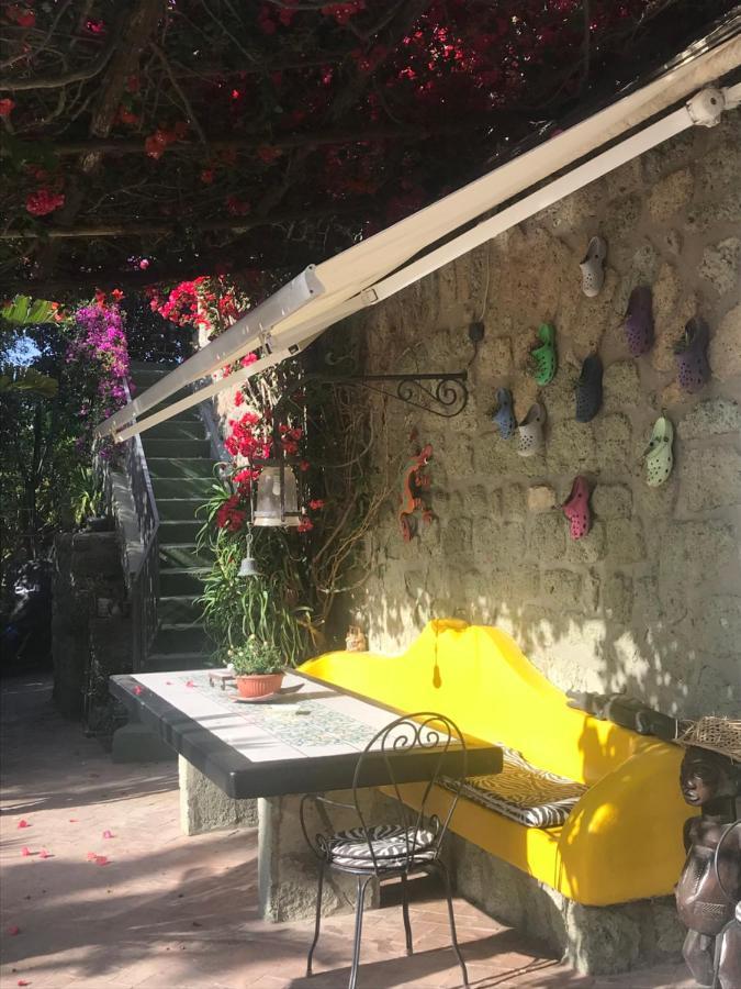 Casa Vacanze Il Pozzo Villa Ischia Island Ngoại thất bức ảnh
