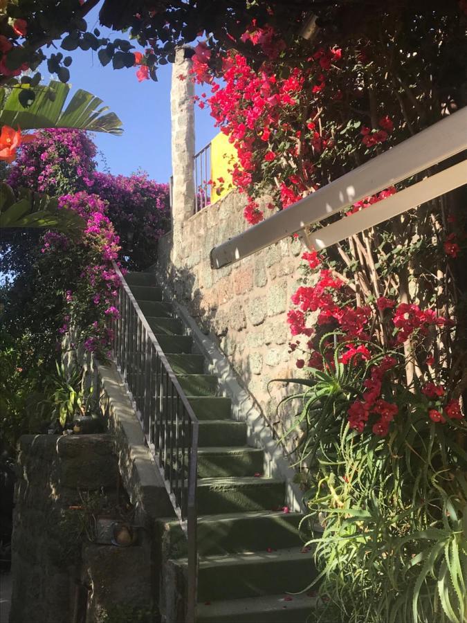 Casa Vacanze Il Pozzo Villa Ischia Island Ngoại thất bức ảnh