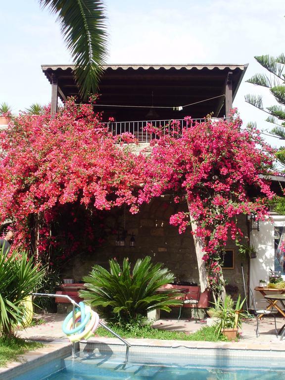 Casa Vacanze Il Pozzo Villa Ischia Island Ngoại thất bức ảnh