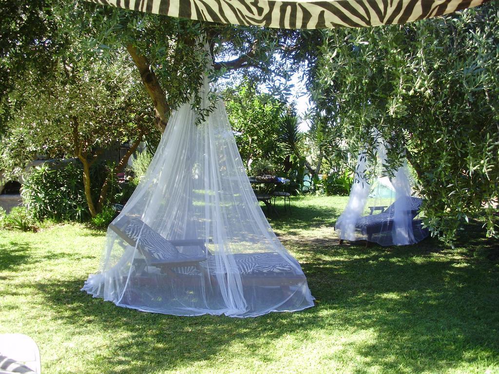 Casa Vacanze Il Pozzo Villa Ischia Island Ngoại thất bức ảnh