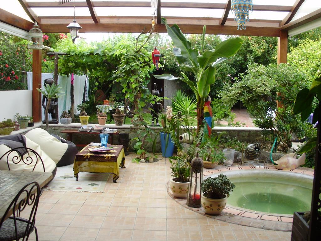 Casa Vacanze Il Pozzo Villa Ischia Island Ngoại thất bức ảnh