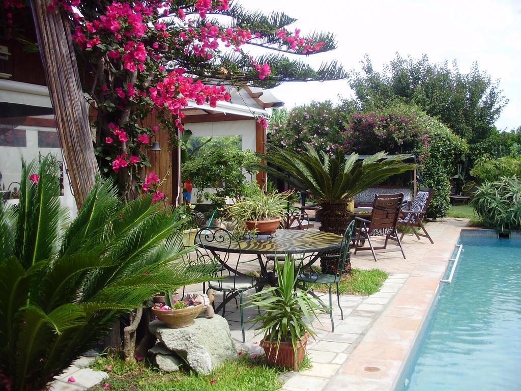 Casa Vacanze Il Pozzo Villa Ischia Island Ngoại thất bức ảnh
