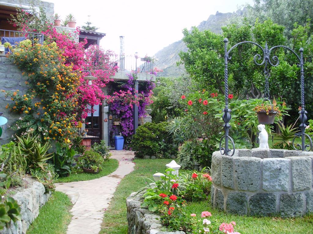 Casa Vacanze Il Pozzo Villa Ischia Island Ngoại thất bức ảnh