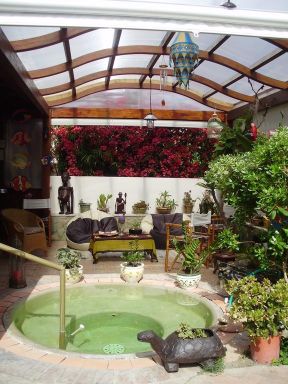 Casa Vacanze Il Pozzo Villa Ischia Island Ngoại thất bức ảnh
