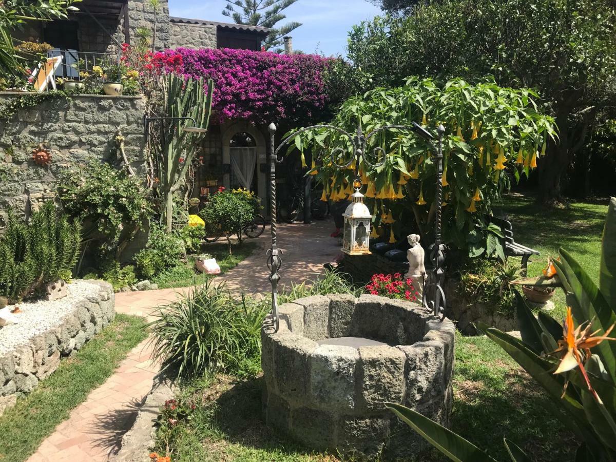 Casa Vacanze Il Pozzo Villa Ischia Island Ngoại thất bức ảnh