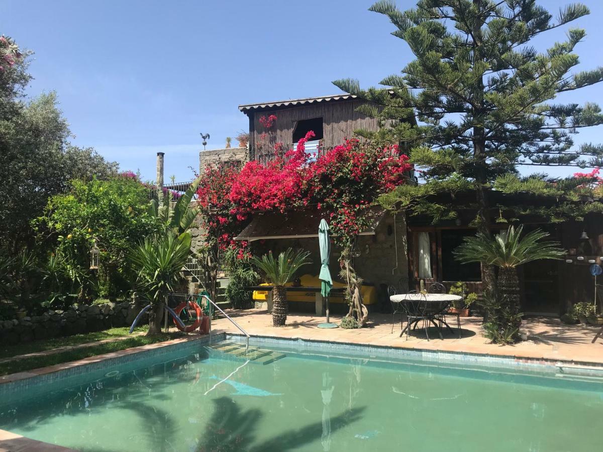 Casa Vacanze Il Pozzo Villa Ischia Island Ngoại thất bức ảnh