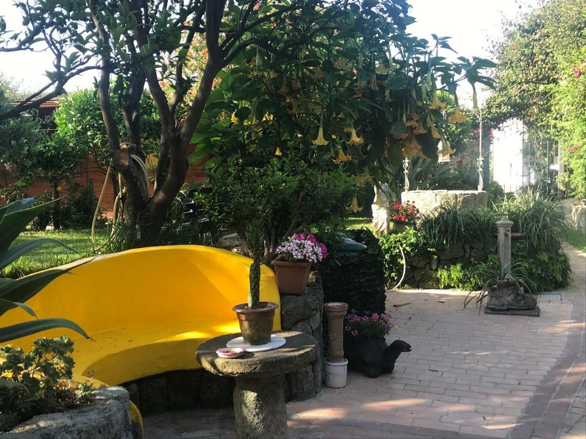 Casa Vacanze Il Pozzo Villa Ischia Island Ngoại thất bức ảnh